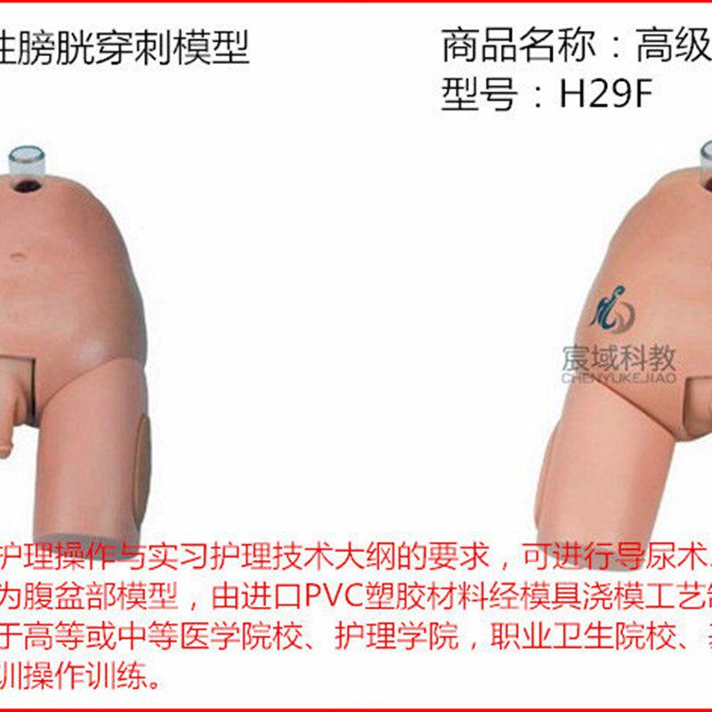 高级男女性膀胱穿j刺模型 男女性导尿术练习模型 膀胱冲洗穿刺模