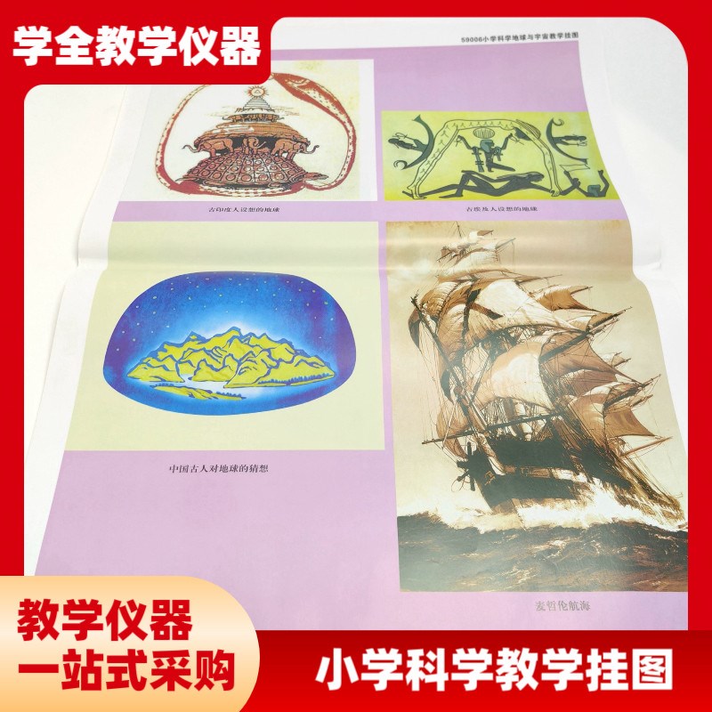 小学科学教c学挂图全套 小学教学仪器 对开72x52cm 厂家直销特价