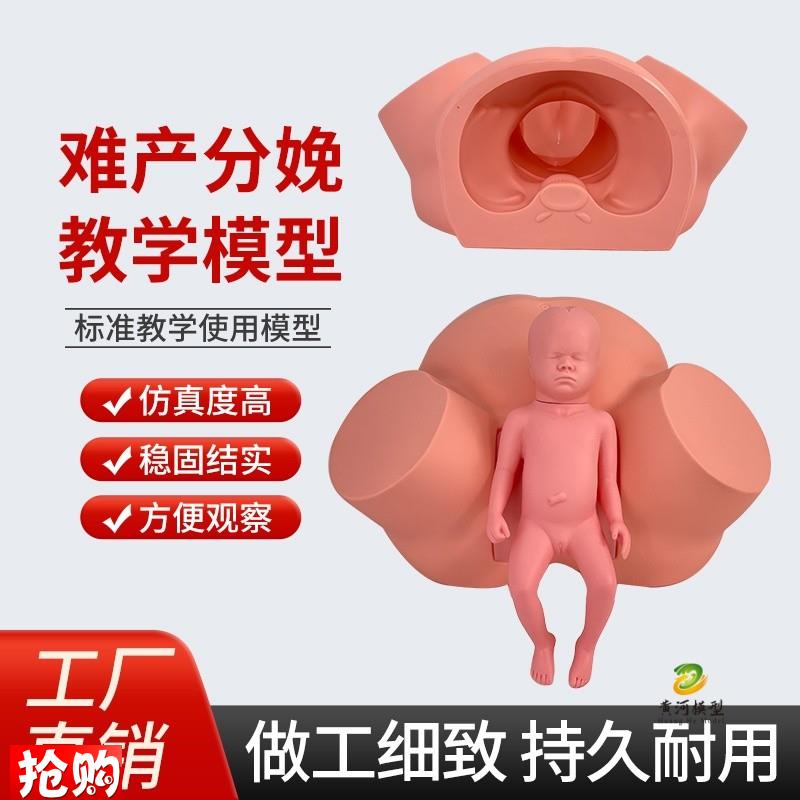 高级难产示教训练模型q分娩示教模型妇产科难产助产分娩教学模型