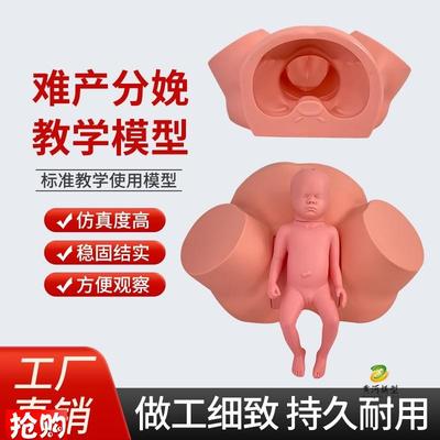 高级难产示教训练模型q分娩示教模型妇产科难产助产分娩教学模型