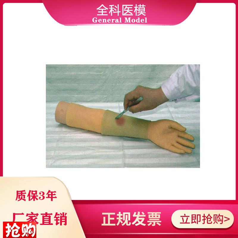 上肢脓肿切开仿真模型