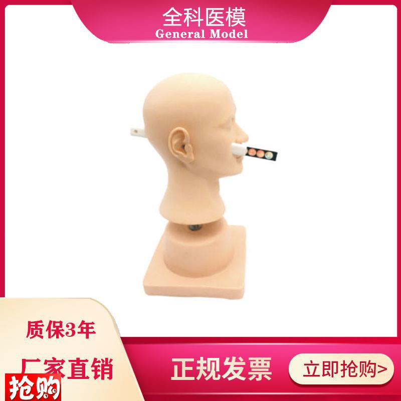 高级耳诊断模型正常病变的鼓膜模块耳Y内检查模型