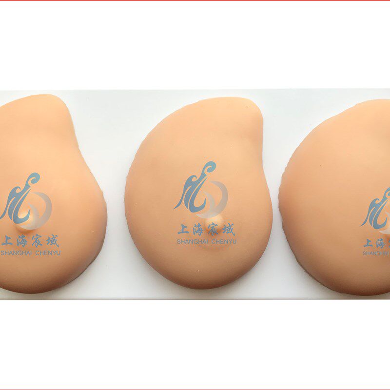 病理乳房模型 乳房自检模型 病理P硅胶医用教学模型