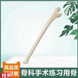 尺骨模型a仿真骨手术技能考试骨科医生用钻孔骨质密度桡骨人体四