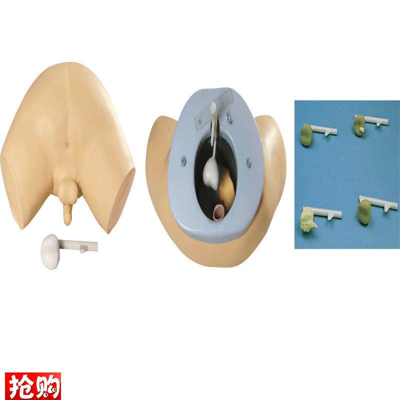 前列腺检查模型佳悦M科教通L63