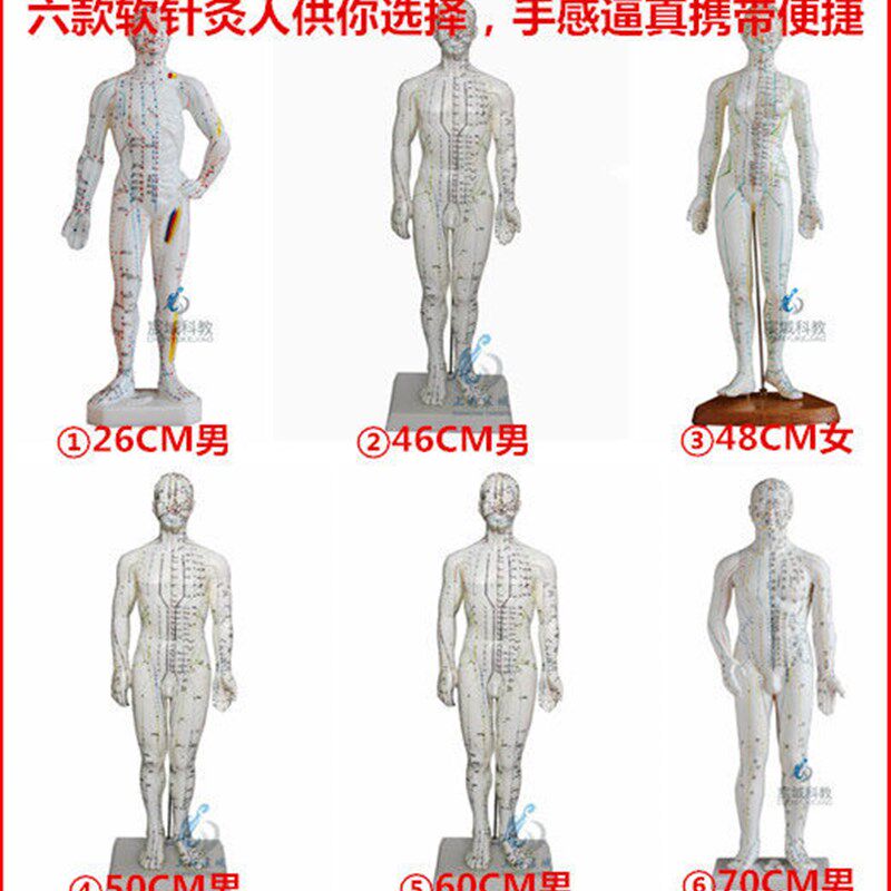 超清人体针灸g穴位模型经络通铜人刻字中医教学人体模型男女小人
