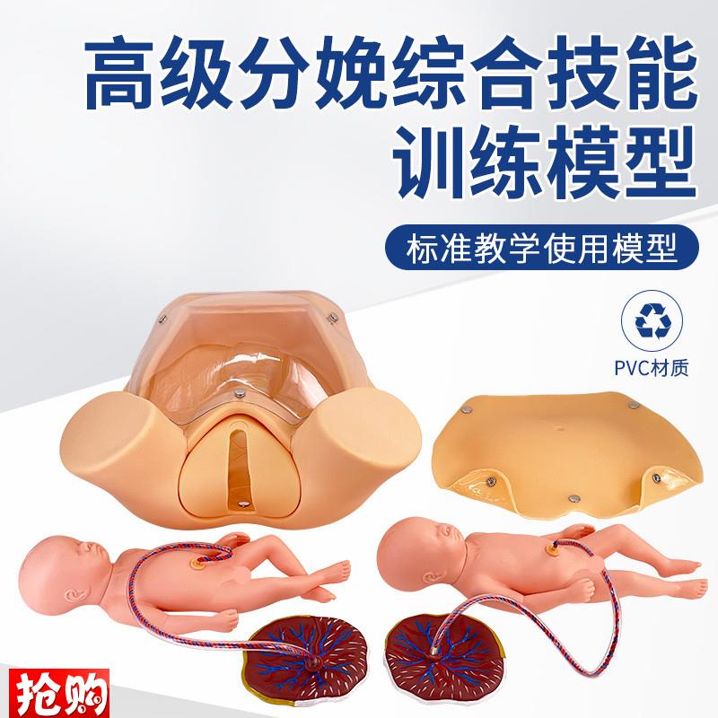 高级分娩综合技能训练模型分娩教E具妇产科助产示教孕妇分娩模型