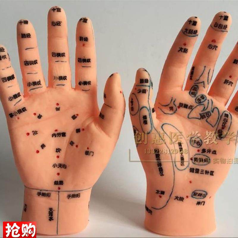上海经络通小儿j推拿模型手部特定穴手部穴位及发射区模型针灸手