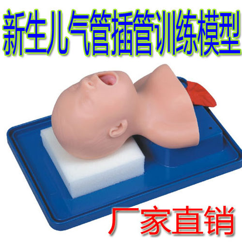 教学模型 婴儿儿童气管插管v 医学模型 新生儿气管插管训练模型