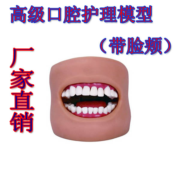 口腔清洁模型(带j脸颊)口腔清洁模型保健模型口腔牙护理刷牙练习