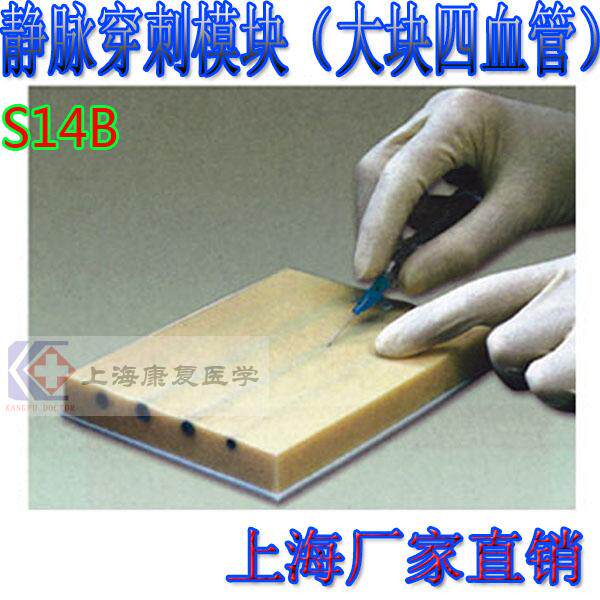 可反复穿刺注射 皮肤缝合模块 静脉穿刺模块V(大块四血管)