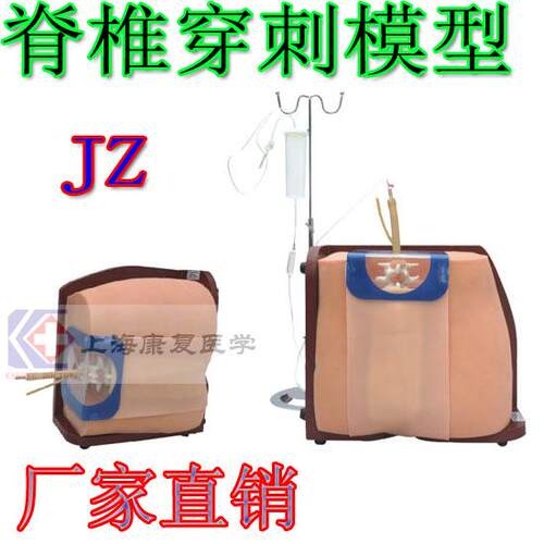 脊椎穿刺模型 医学 模型 w硬模外骶骨穿刺模型腰麻全麻穿刺模型