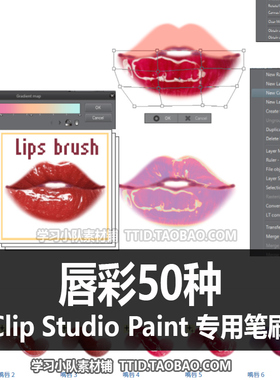 A1 519 CSP笔刷 唇彩50种 50支 CLIP STUDIO PAINT