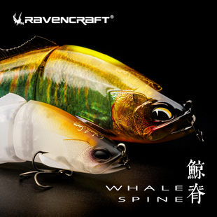 Ravencraft鸦语新款鲸脊Jr多节鱼路亚大型泳饵缓沉鲈鱼鳜鱼鳡鱼饵