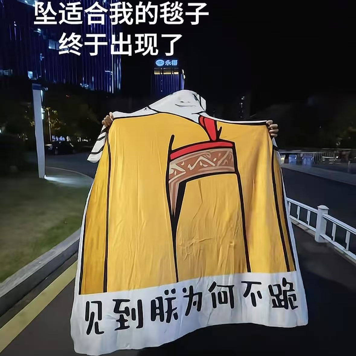 夏季搞怪龙图见朕为何不跪空调毯