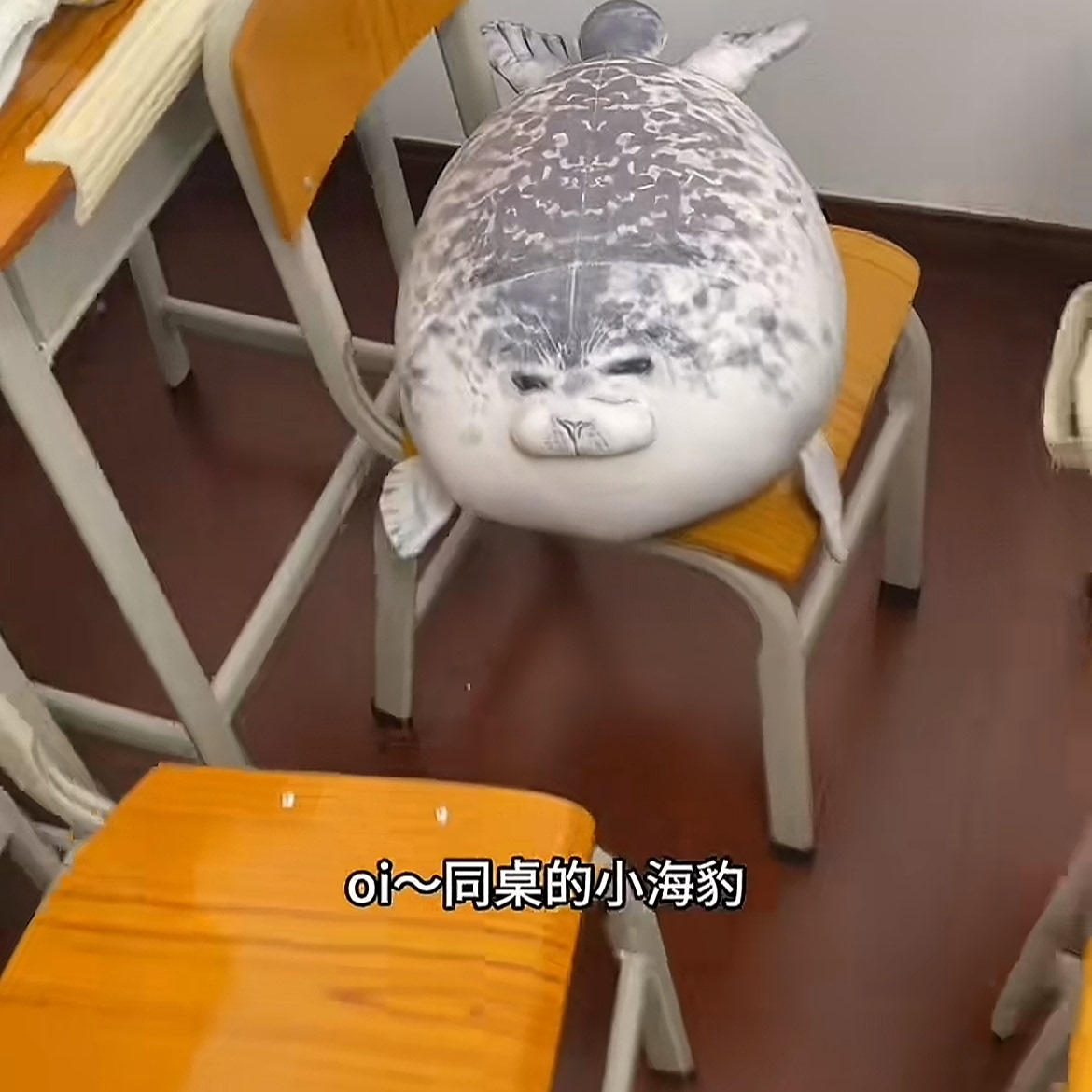 海豹抱枕毛绒玩具公仔