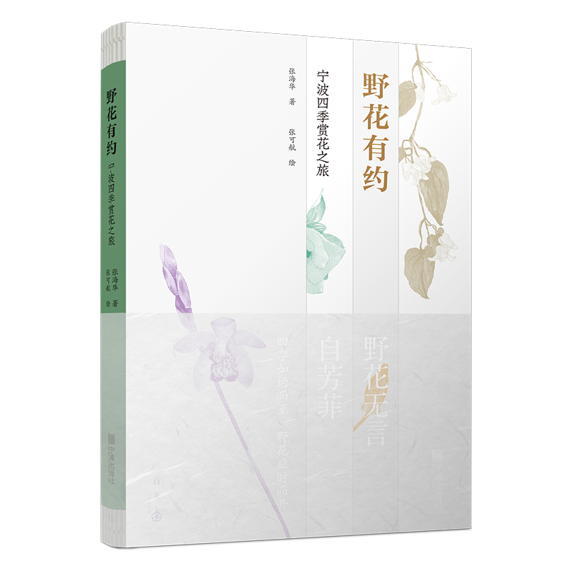 野花有约宁波四季赏花之旅