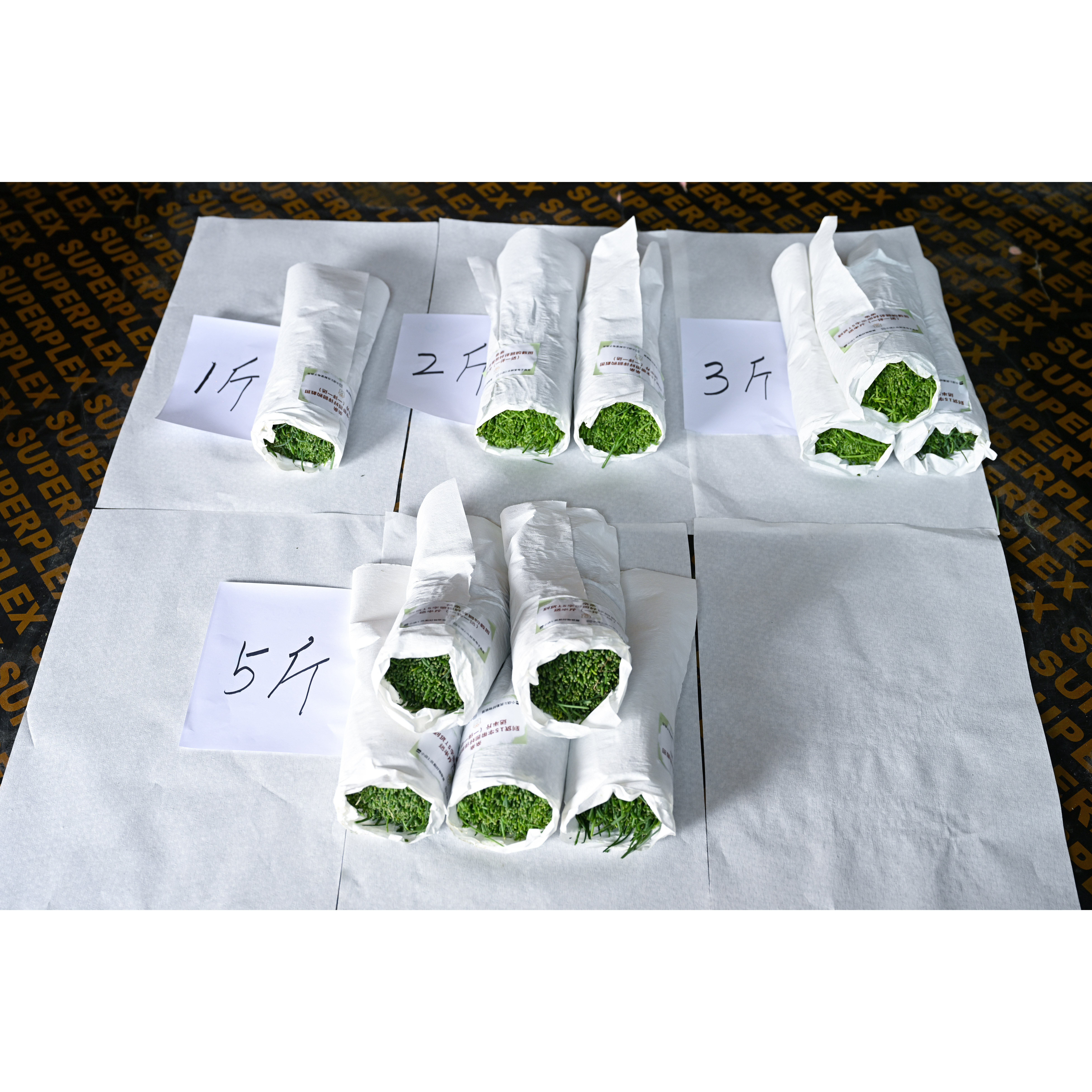 民勤新鲜沙葱捆装商用净菜顺丰