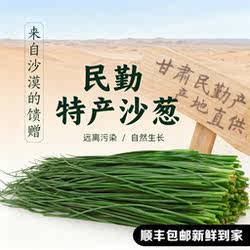 【顺丰包邮】民勤沙葱新鲜现采冰袋保鲜1斤捆装精选净菜商用