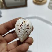 饰品儿童礼物工艺品 爱心形标本摆件创意家居装 天然贝壳 草莓蛤