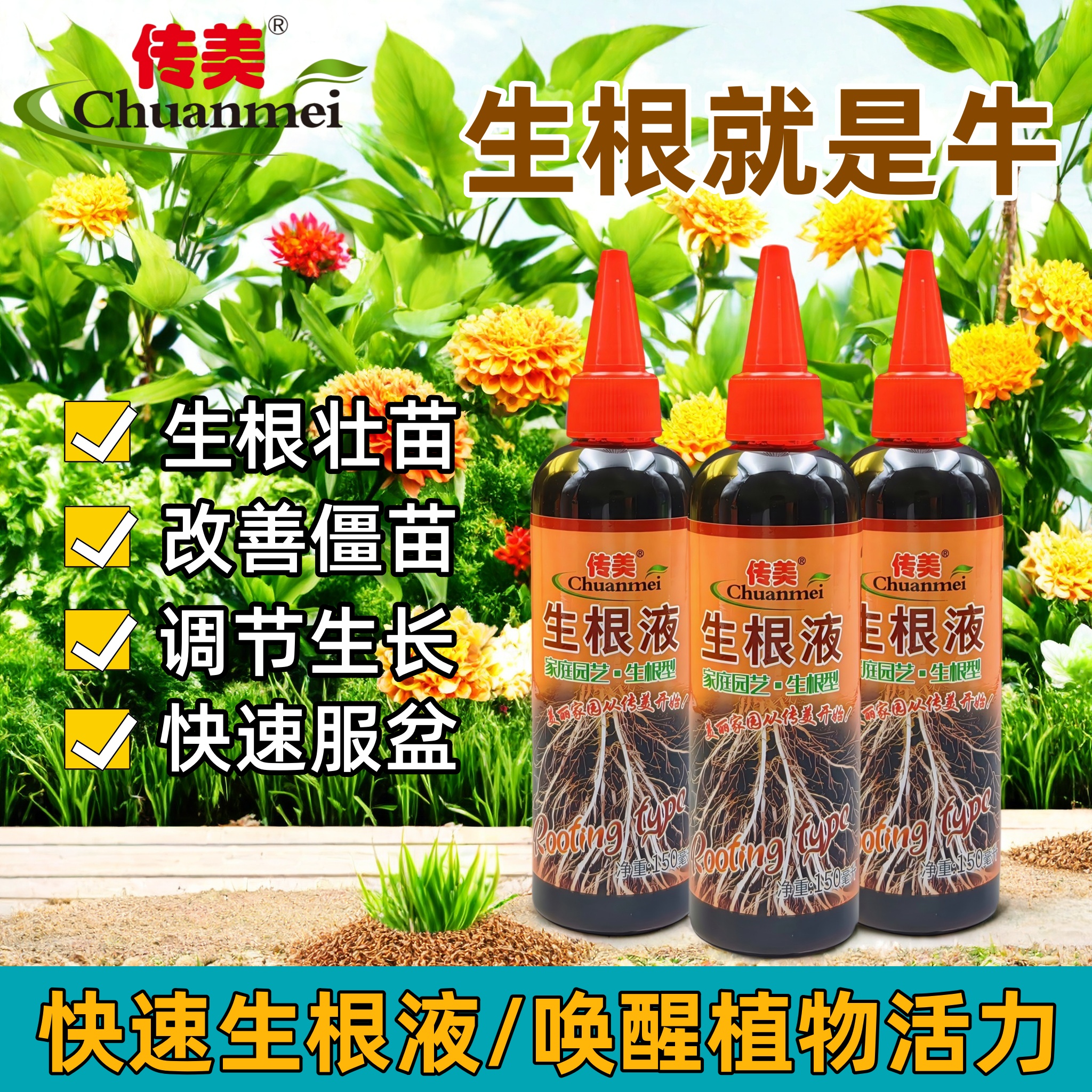 传美生根液扦插植物通用型壮苗剂