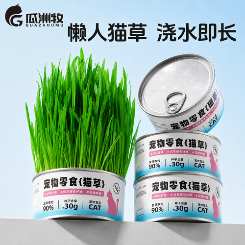 猫草盆栽种植助化毛懒人泡面猫草种子自种猫薄荷化毛猫咪零食用品