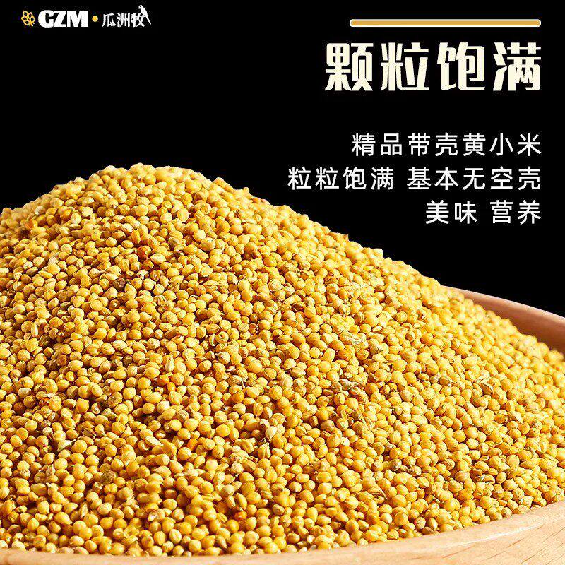 鹦鹉鸟食小米鸟食颗粒饱满高营养营养美味鹦鹉鸟粮脱皮鹦鹉鸟食