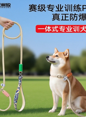 狗狗牵引绳防爆冲P链遛狗绳防挣脱中大型犬狗链子拴狗绳牢固狗p绳