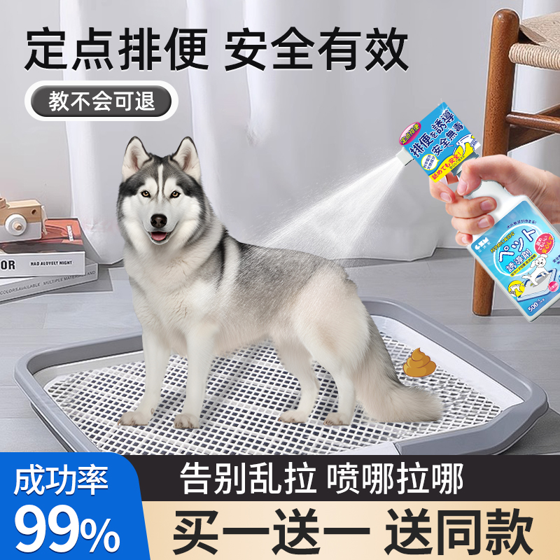 狗大小便宠物训练拉屎神器诱导剂