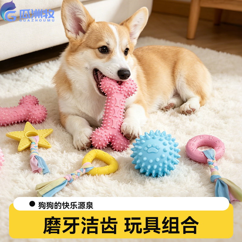 狗狗玩具磨牙洁齿硅胶玩具组合耐撕咬解闷消耗体力骨头形啃咬玩具