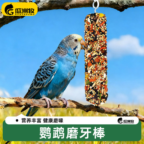 鹦鹉磨牙棒啃咬小零食鸟饲料鸟食虎皮玄凤蔬果棒磨牙磨喙训练奖励