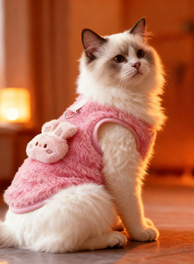 2025新猫咪衣服秋冬装保暖防掉毛马甲宠物狗狗比熊小猫德文猫衣服