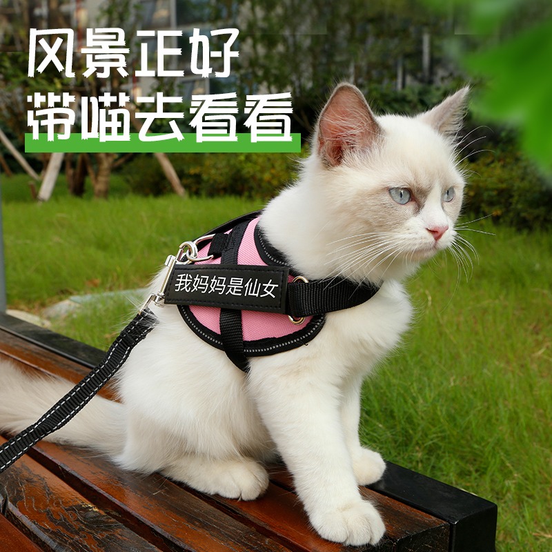 宠物猫咪牵引绳背心式胸背带