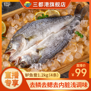 三都港鲈鱼鲞1.2kg 新鲜海鲈鱼冷冻深海鱼烤鱼商用半成品 4条