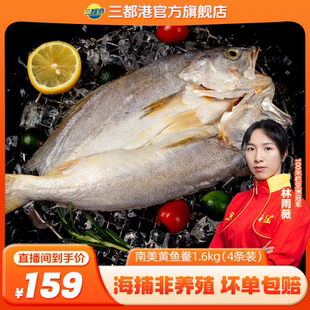 4条装 三都港南美黄鱼鲞1.6kg 新鲜冷冻黄鱼免杀洗免调味 自
