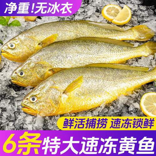 三都港速冻黄花鱼海鲜水产