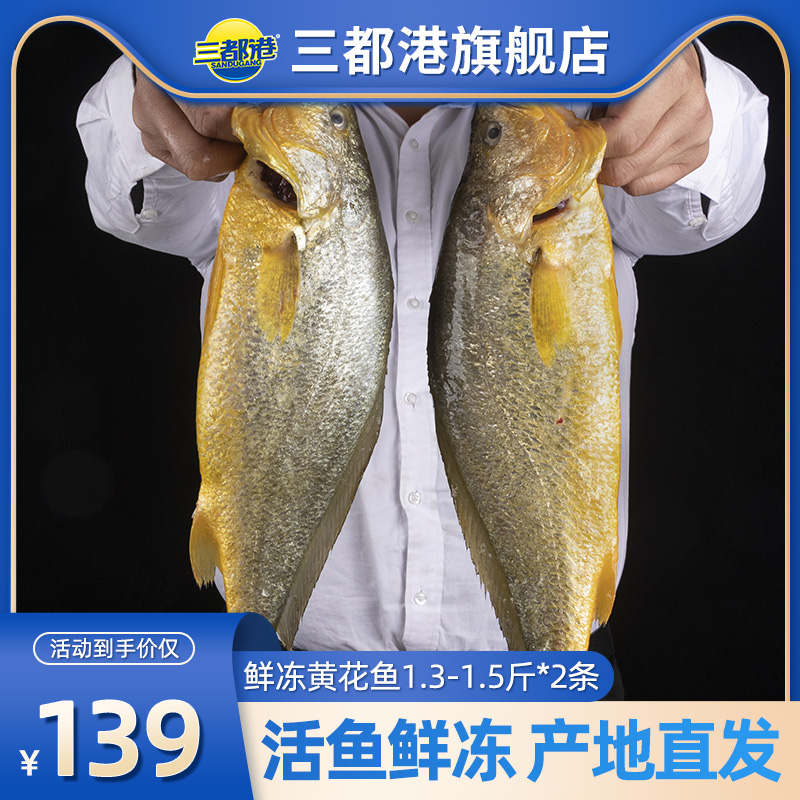 三都港大黄鱼1.5斤*2海鲜冷冻