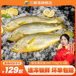 【自】三都港鲜冻黄花鱼300-750g多规格 宁德大黄鱼新鲜海鱼海鲜