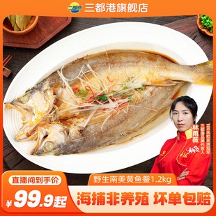 三都港南美黄鱼鲞新鲜冷冻黄鱼免杀洗免调味 自