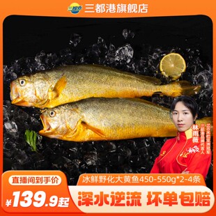 三都港冰鲜野化大黄鱼450-550g正宗海鲜宁德黄花鱼大黄鱼