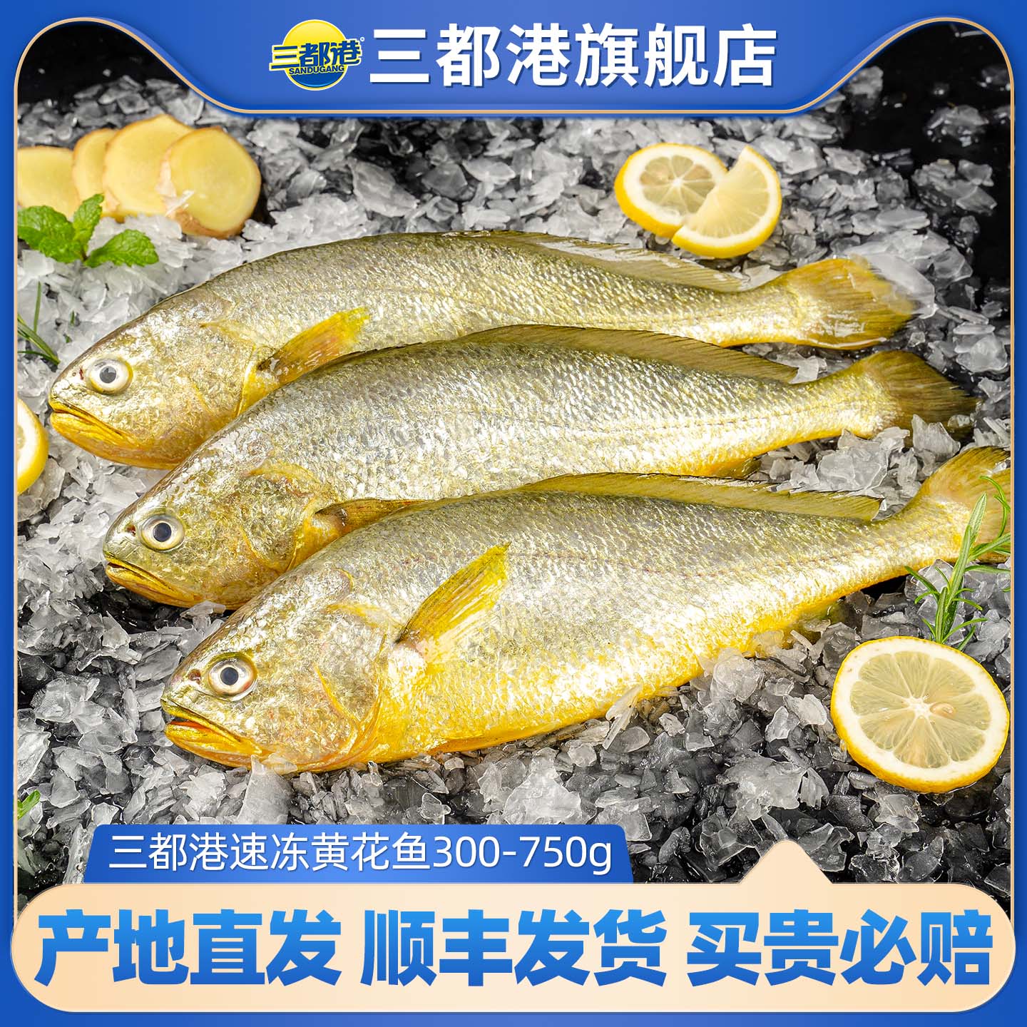 三都港速冻黄鱼活鱼捕捞顺丰直发