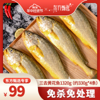 【年中狂欢节】三都港大黄鱼宁德新鲜冷冻三去黄花鱼1320g (4条装