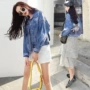 Áo khoác denim ngắn ngắn áo khoác ngắn 2019 mới thu đông xuân mới của phụ nữ - Áo khoác ngắn áo khoác dù nữ