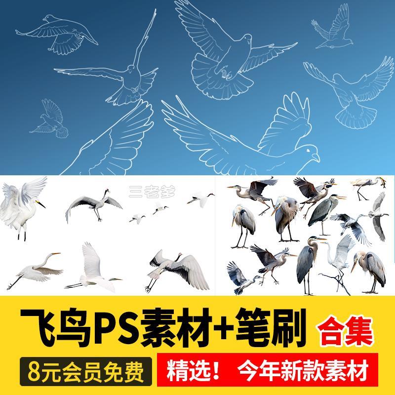 各种鸟类ps素材动物鸟群飞鸟鸽子白鹭飞行姿态效果图PSD免抠笔刷