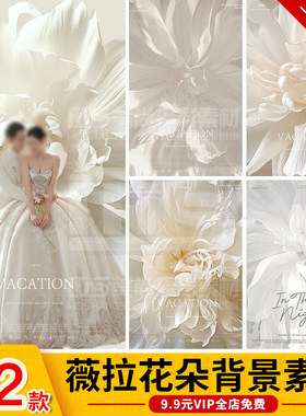 薇拉白色大花朵高定花卉光影婚纱照后期修图合成背景psd素材模板