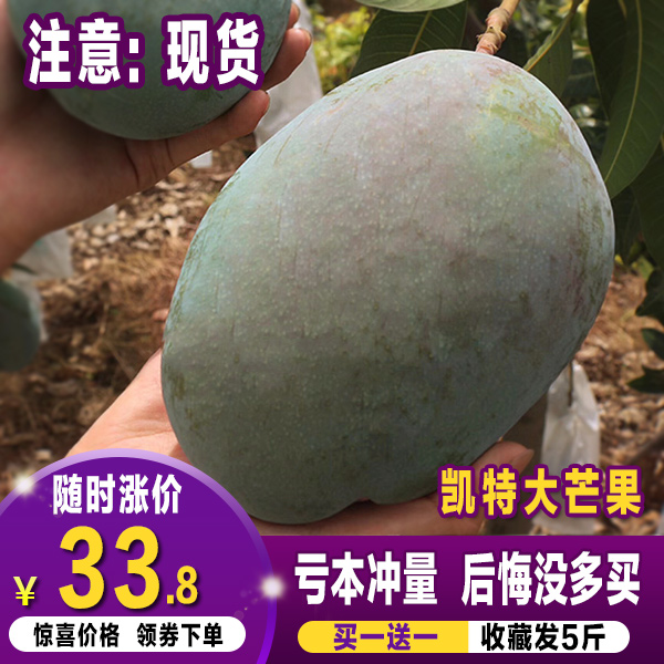 攀枝花凱特大芒果大青芒果四川當季熱帶新鮮水果整箱2件10斤包郵