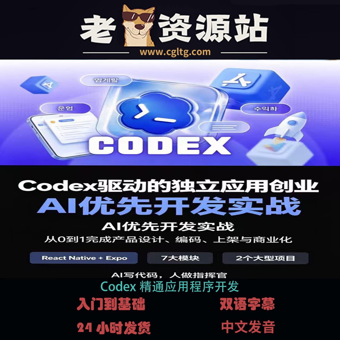 Codex精通应用程序开发图片