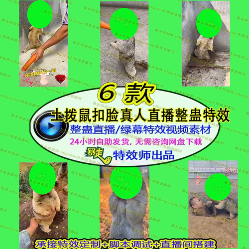 土拨鼠扣脸系列真人整蛊直播绿幕素材视频特效直播间搭建接定制