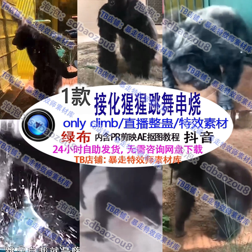 抖音直播整蛊特效 接化发猩猩跳舞大串烧 绿幕视频互动自动弹礼物
