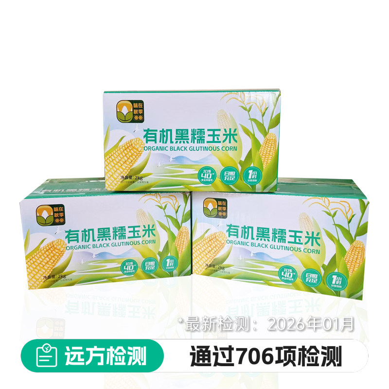 远方的梦想有机黑糯玉米